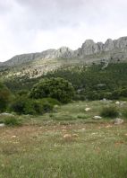 Visita Guiada a la Comarca de Los Vélez. Sábado, 15 de noviembre.